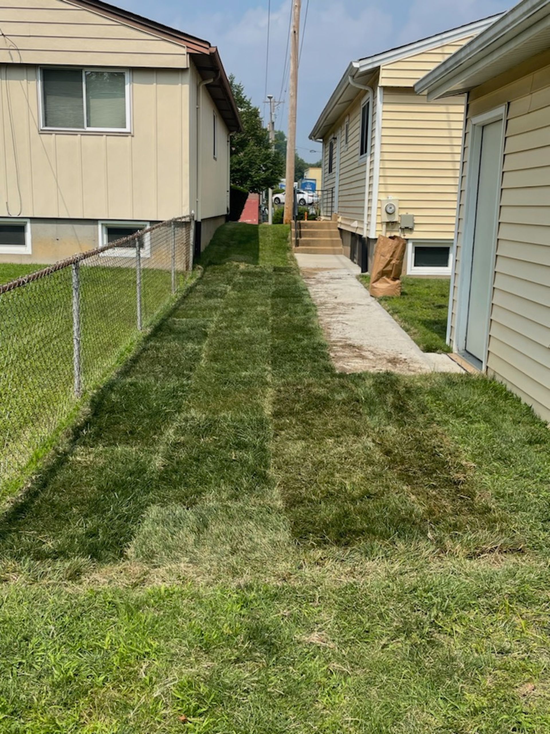 Newly installed sod lawn.