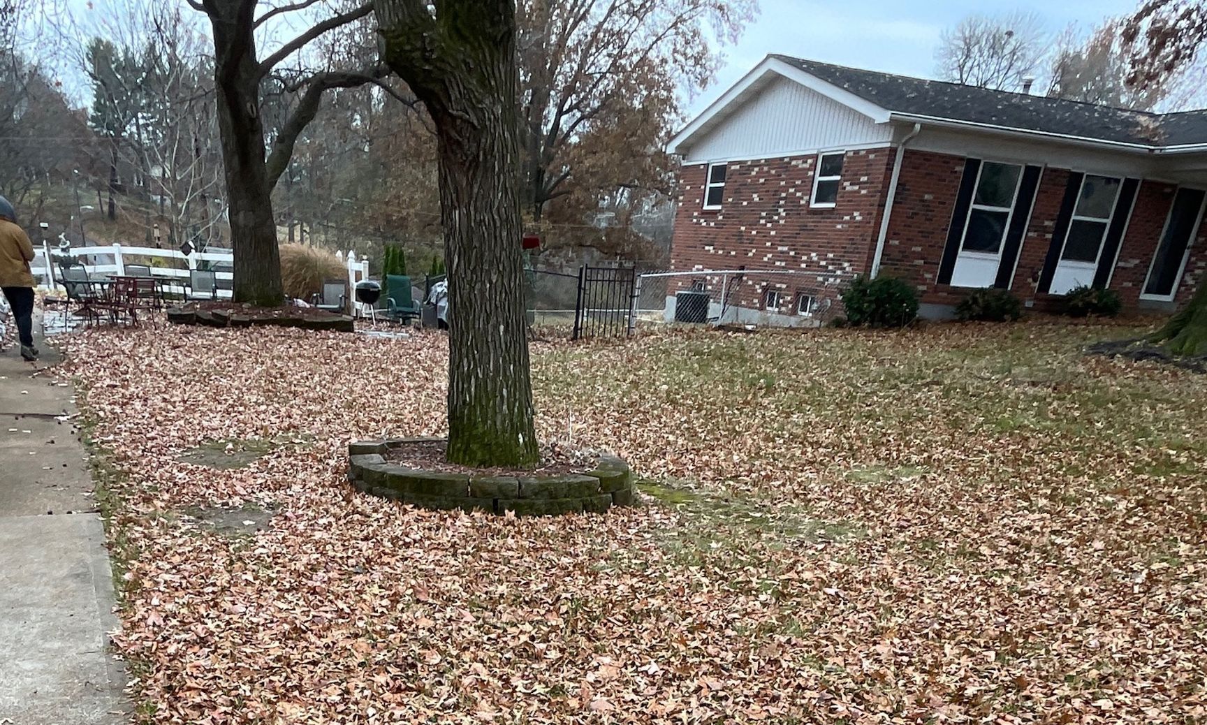 Property with leaves on lawn, ready for clean up.