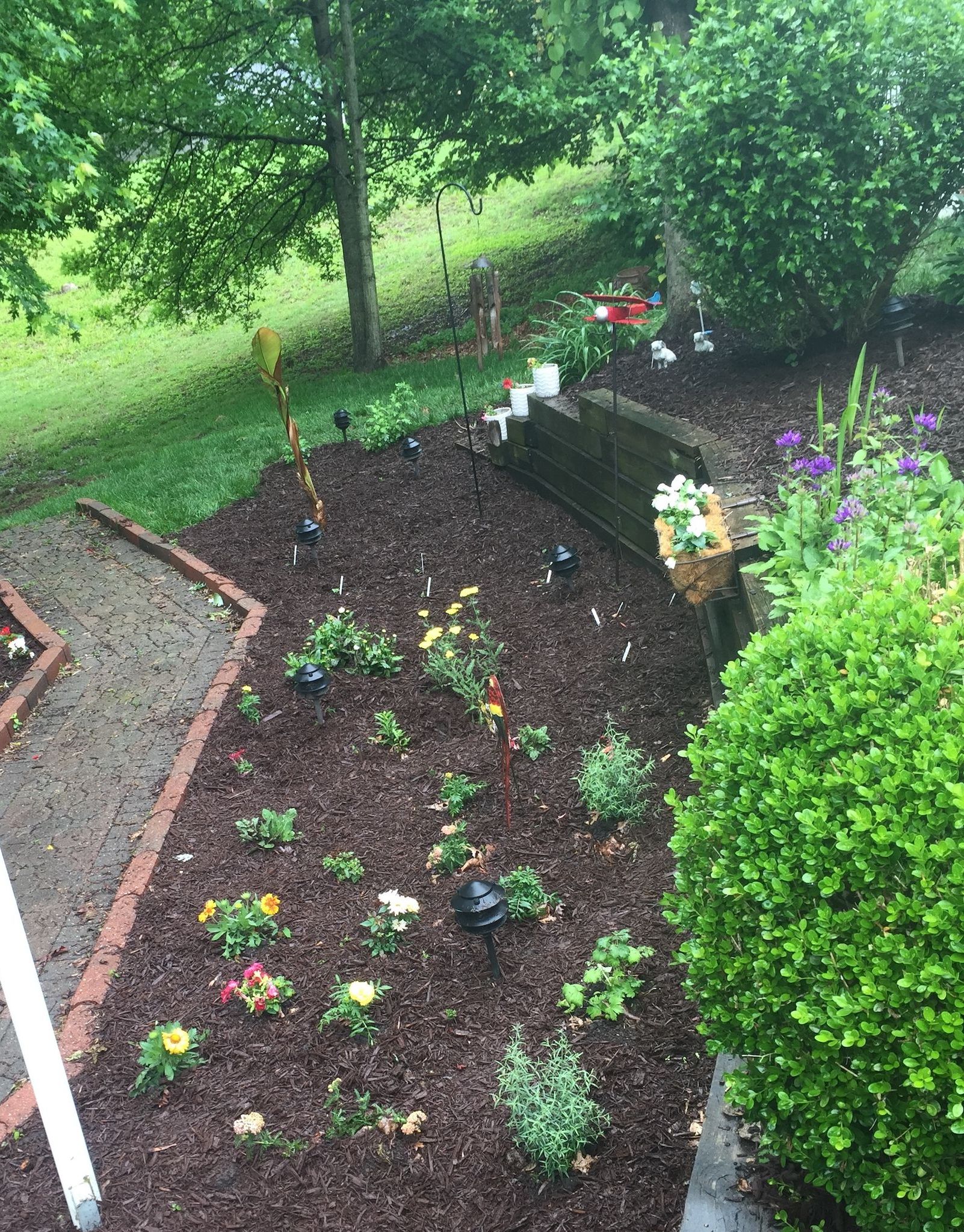 A garden filled with lots of plants. flowers and mulch.