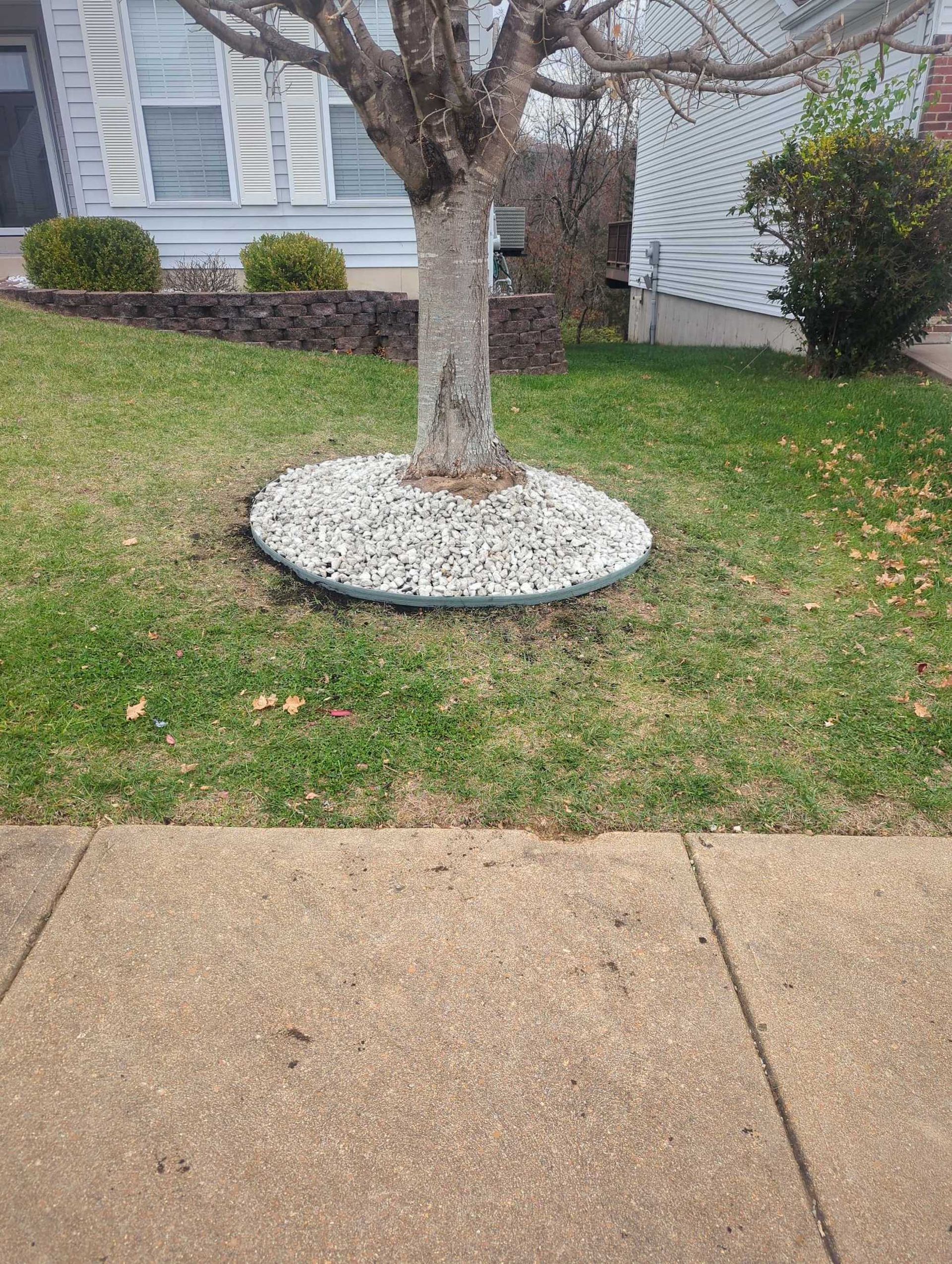Rock and border installed around a tree.