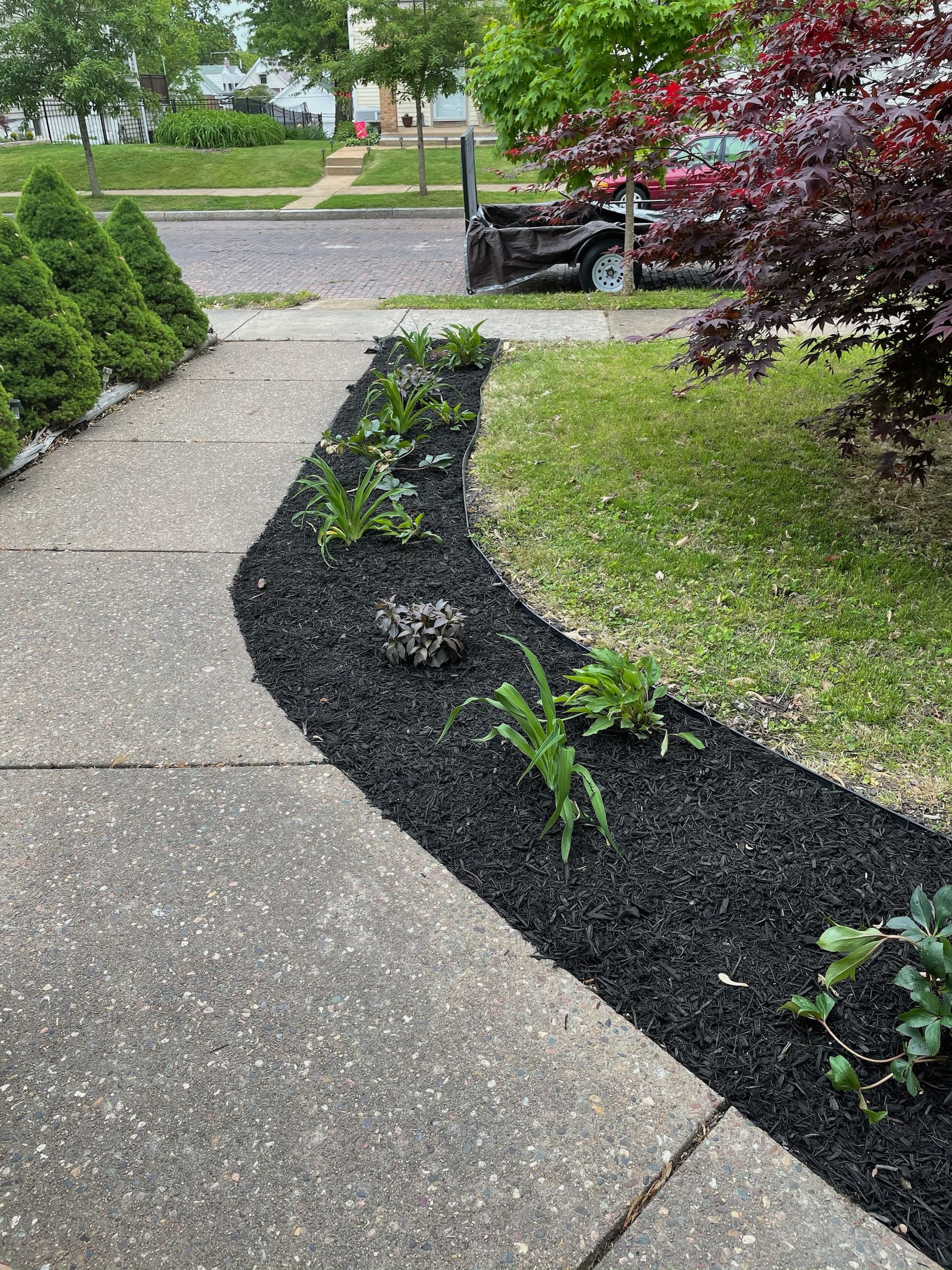 Mulch garden bed along a walking path.