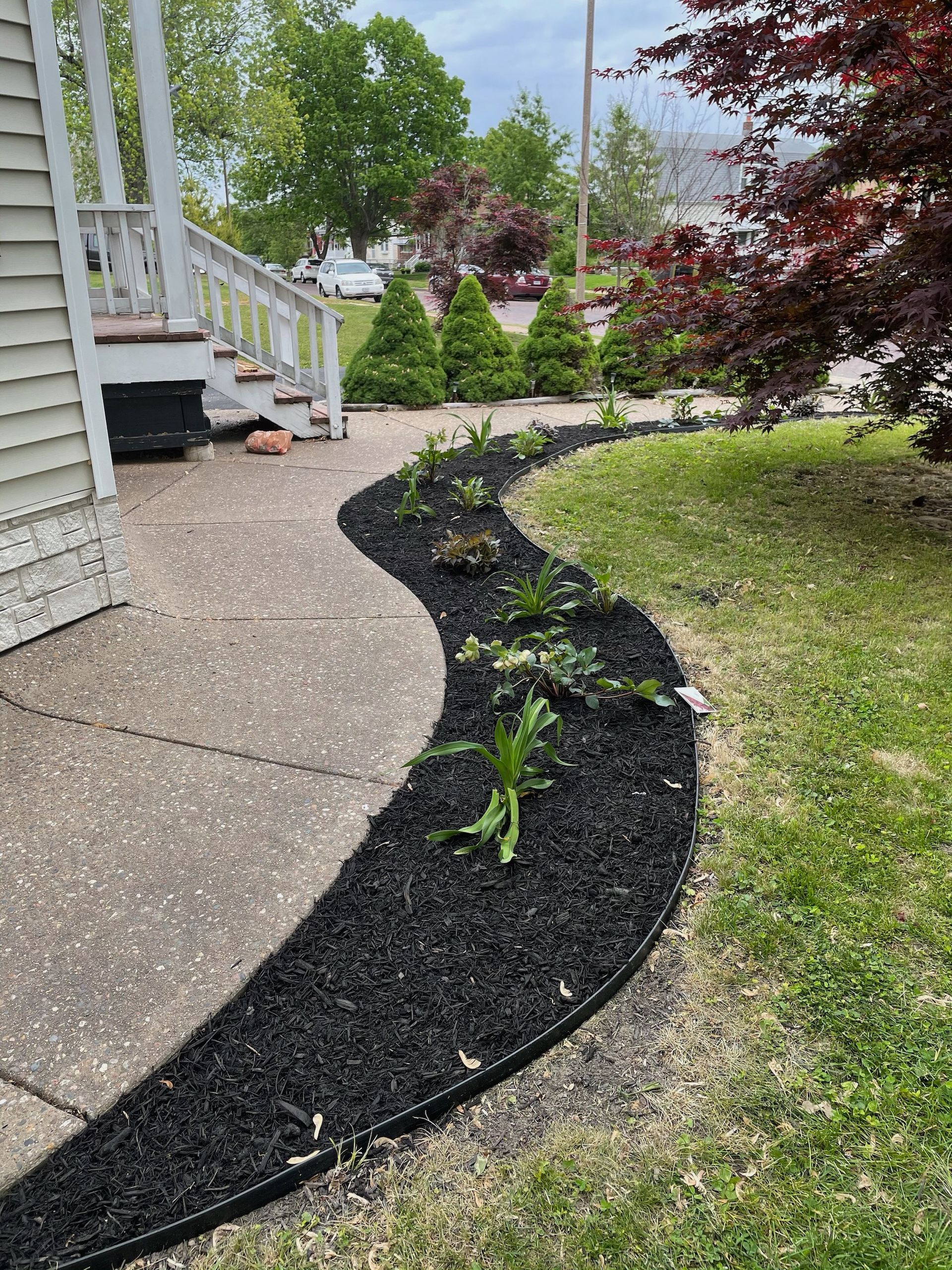 A walkway leading to a house with black mulch and plants.