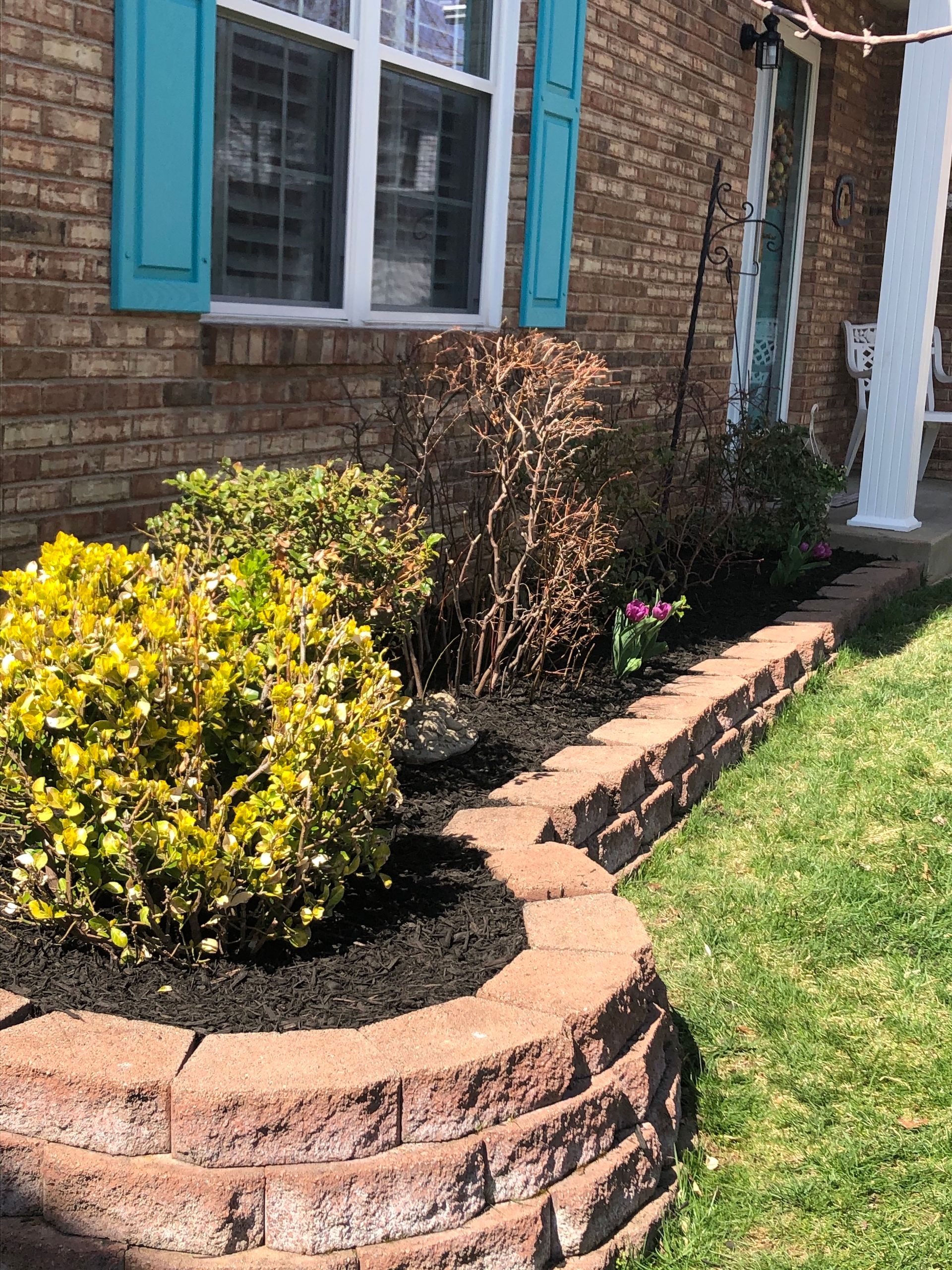 A brick house with blue shutters and a brick garden bed and shrubs.
