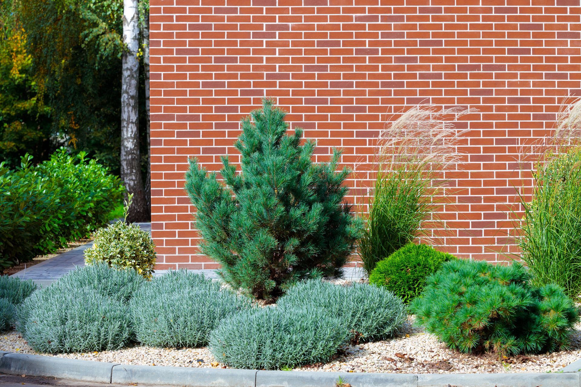 Plants installed in front of brick commercial building