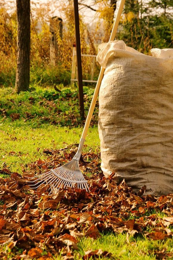 leave raking in st paul mn