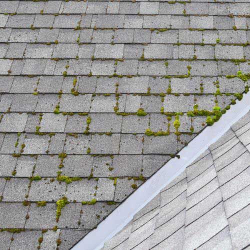 hail damage roof inspection toledo