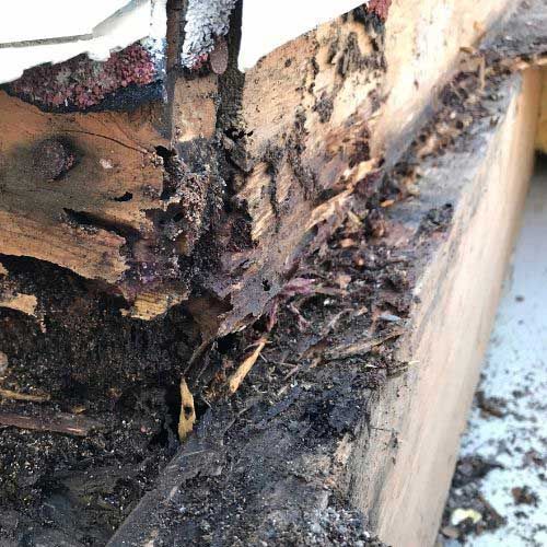 urgent roof replacement toledo