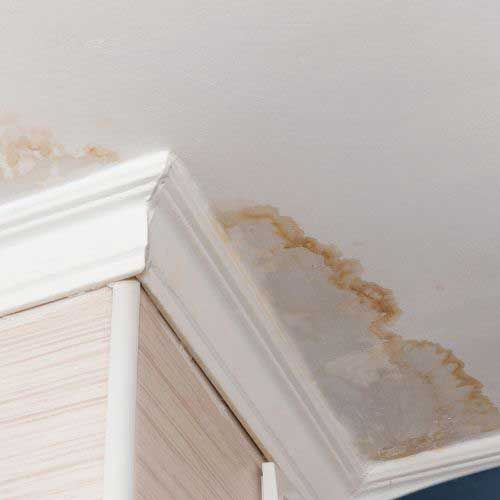 storm damage roof repair toledo