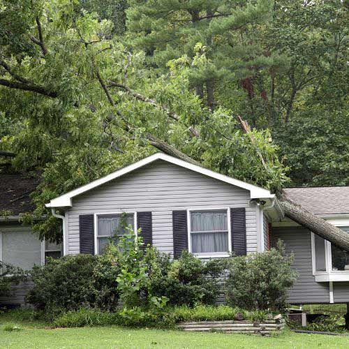 fast roof repair toledo ohio