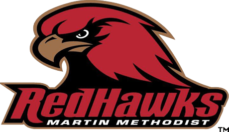 Martin Methodist