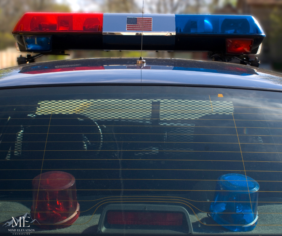 The back of a police car with red and blue lights