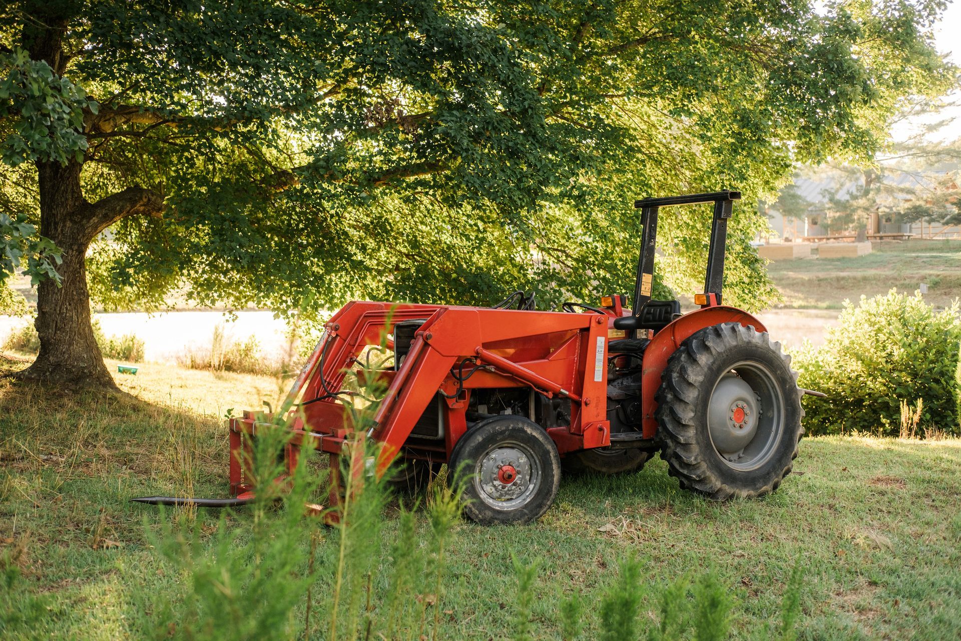 A red tractor is parked in a grassy field next to a tree.