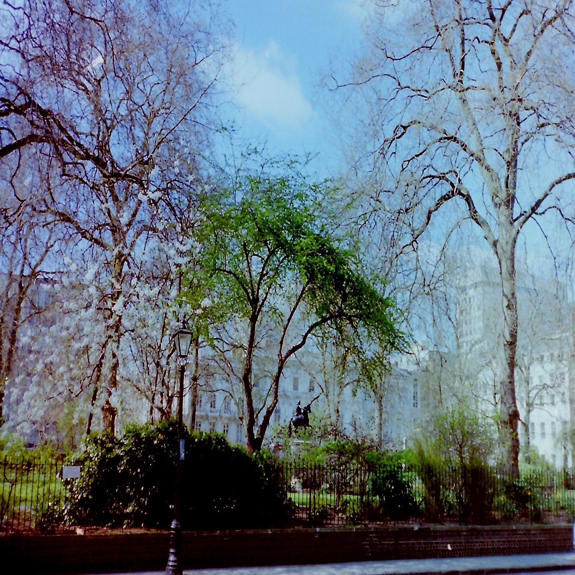 postcard image