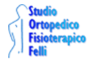 studio felli logo