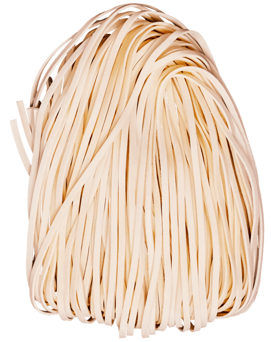 doctor-noodle