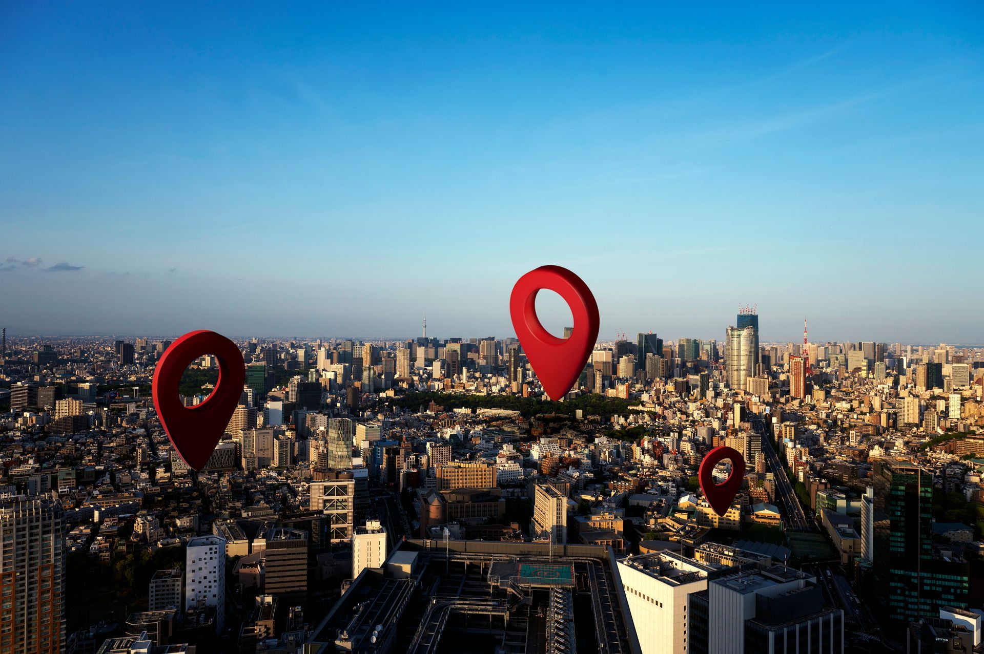 local seo company new jersey