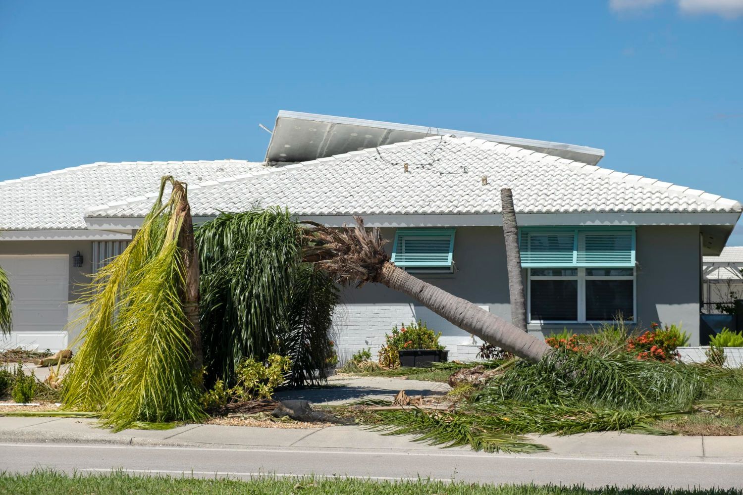 Damaged suburban house with a fallen tree trunk across the front yard and roof.