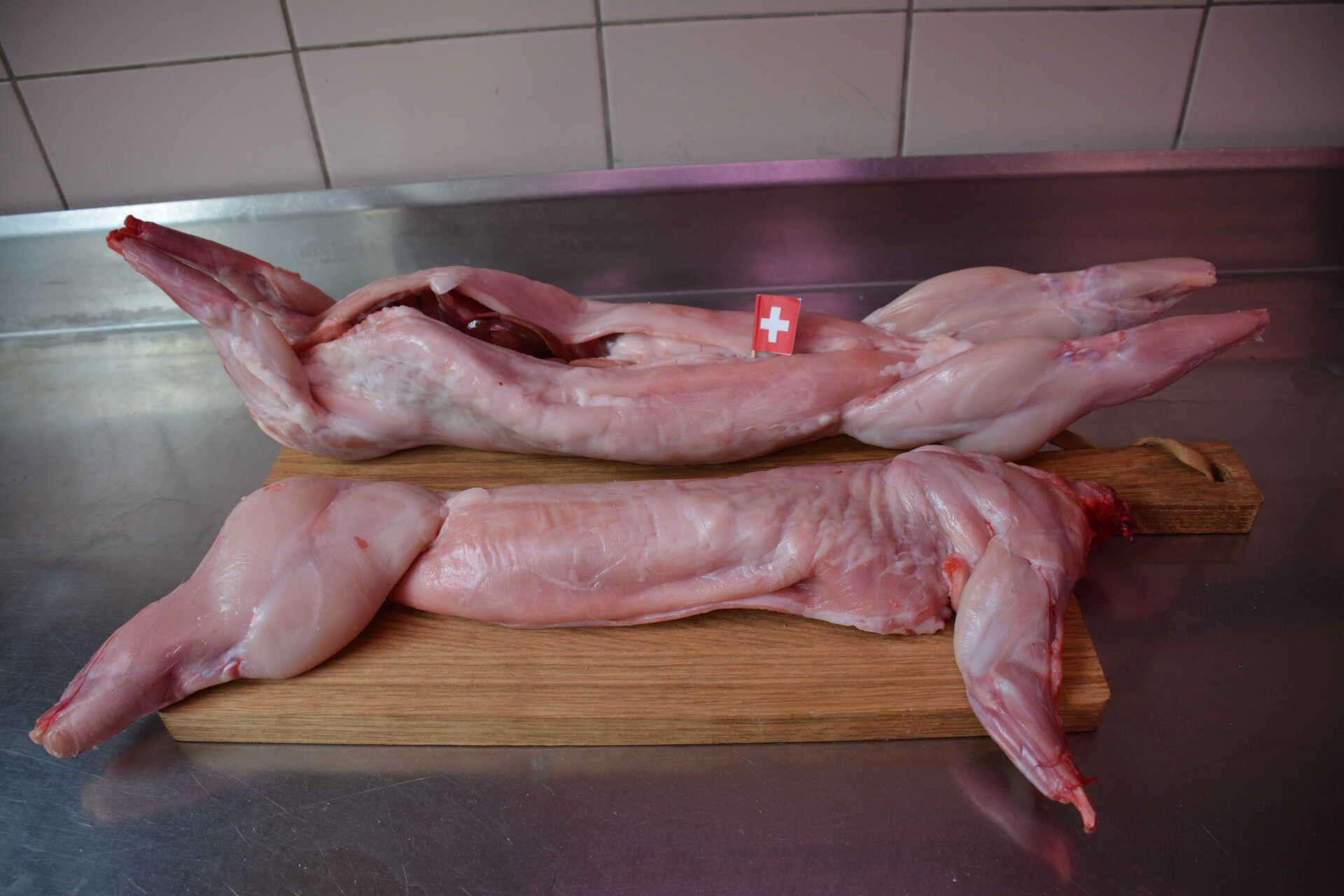 Lapin