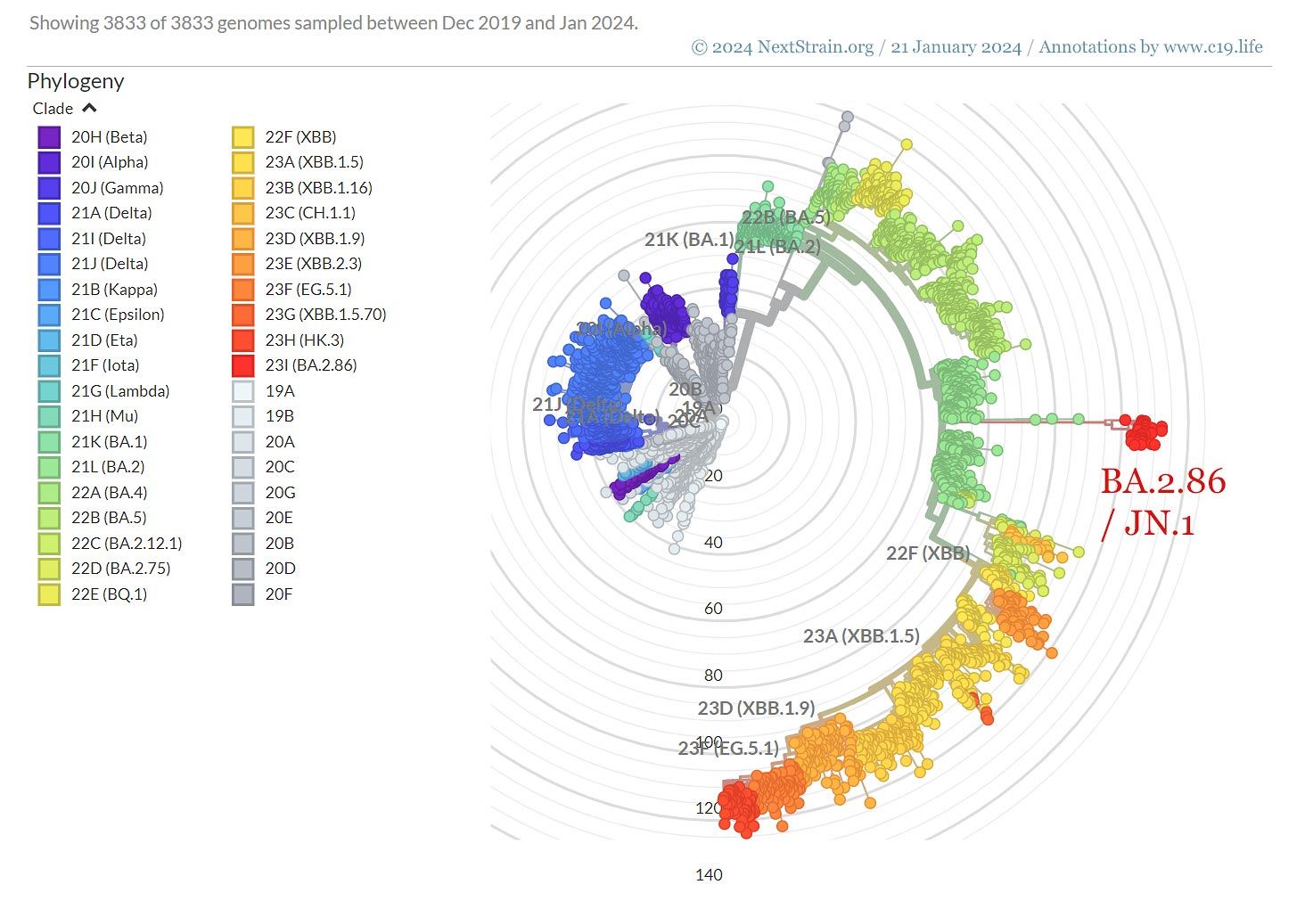 January 21 2024. Genomic epidemiology of SARS-CoV-2 with subsampling focused globally since pandemic start. All data and data visualisation by © 2025 NextStrain.org / GISAID.org