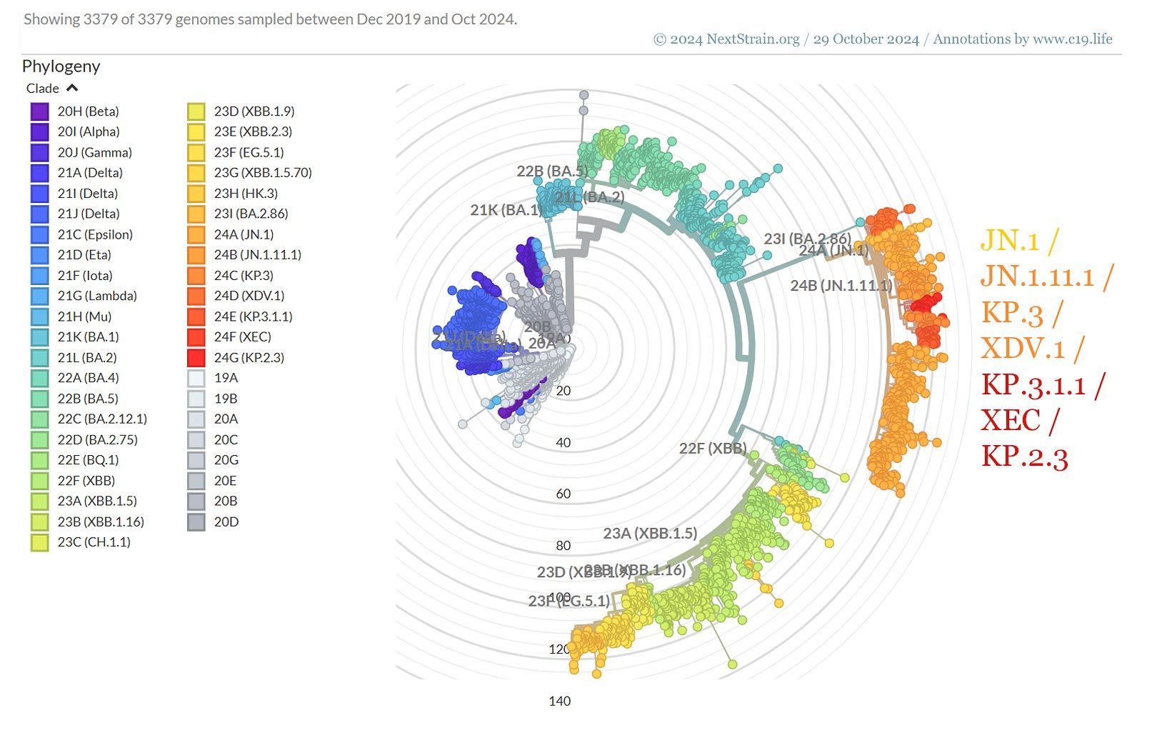 October 29 2024. Genomic epidemiology of SARS-CoV-2 with subsampling focused globally since pandemic start. All data and data visualisation by © 2025 NextStrain.org / GISAID.org