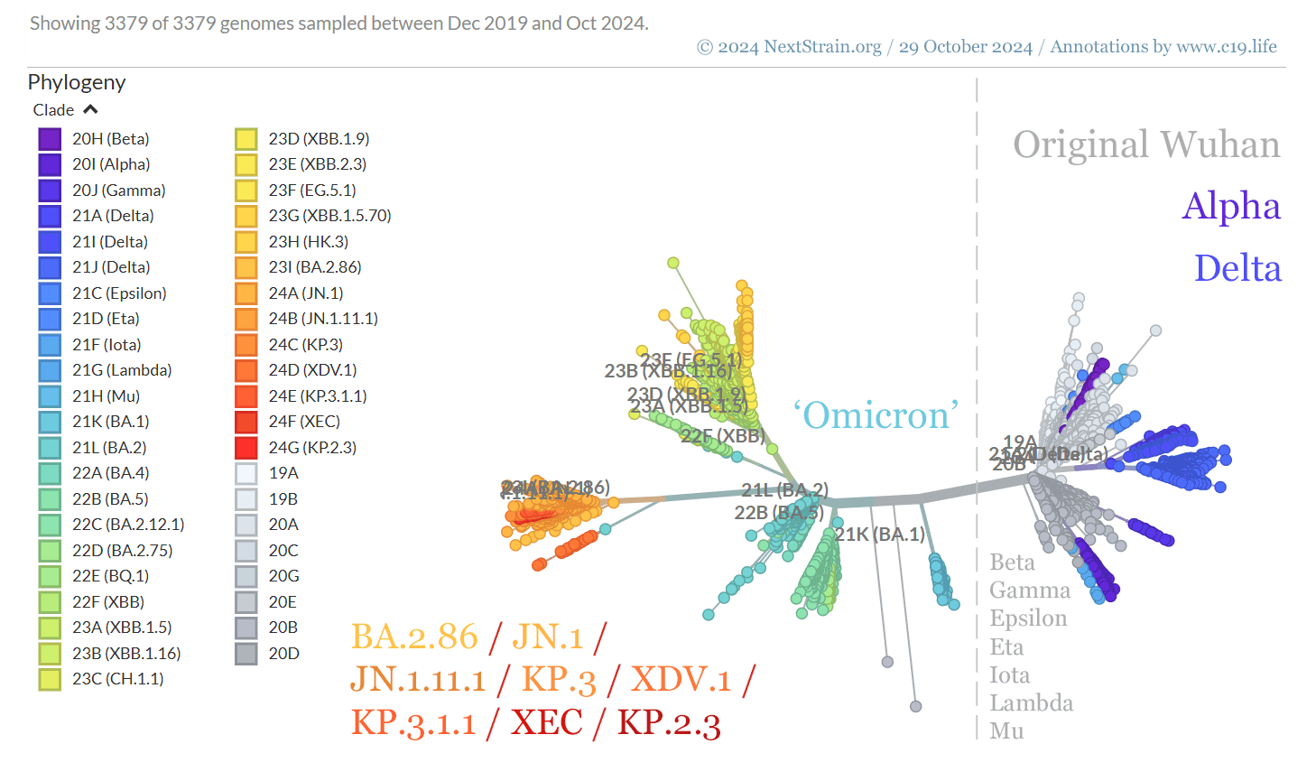 Genomic mapping of SARS-CoV-2 / COVID-19 Variants, including Wild Type (Wuhan), Alpha, beta, Gamma, Delta, Epsilon, Eta, Iota, Lambda, Mu and Omicron BA.1, BA.2, BA.5, BA.2.86 and JN.1. © 2024 NextStrain.org / GISAID.org.