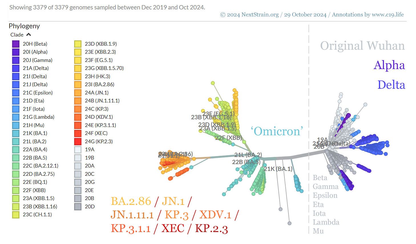 29 October 2024. Genomic epidemiology of SARS-CoV-2 with subsampling focused globally since pandemic start. All data and data visualisation by © 2025 NextStrain.org / GISAID.org