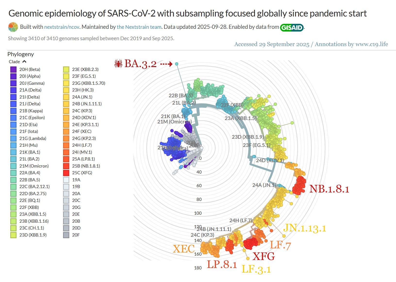Genomic epidemiology of SARS-CoV-2 with subsampling focused globally since pandemic start. Tree, radial; September 2025. Data and data visualisation by NextStrain.org / GISAID.org