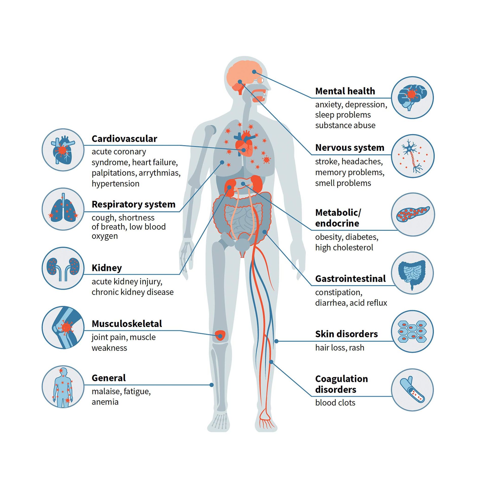 SARS-CoV-2 (COVID-19) infections can lead to long-term health effects in nearly every organ system of the body.