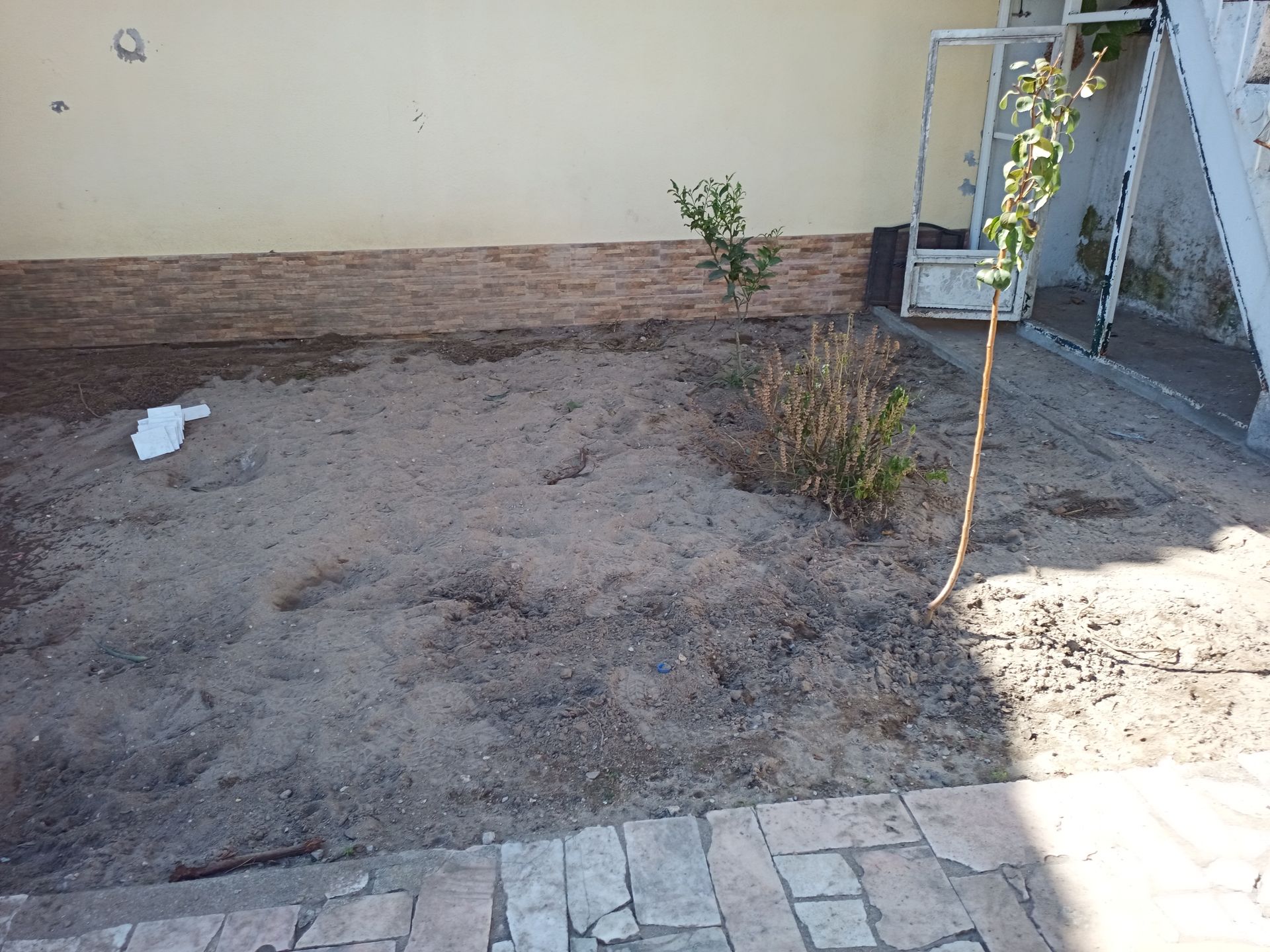 Um canteiro de areia com pequenas plantas encostado em uma parede bege e um pátio de tijolos em primeiro plano.