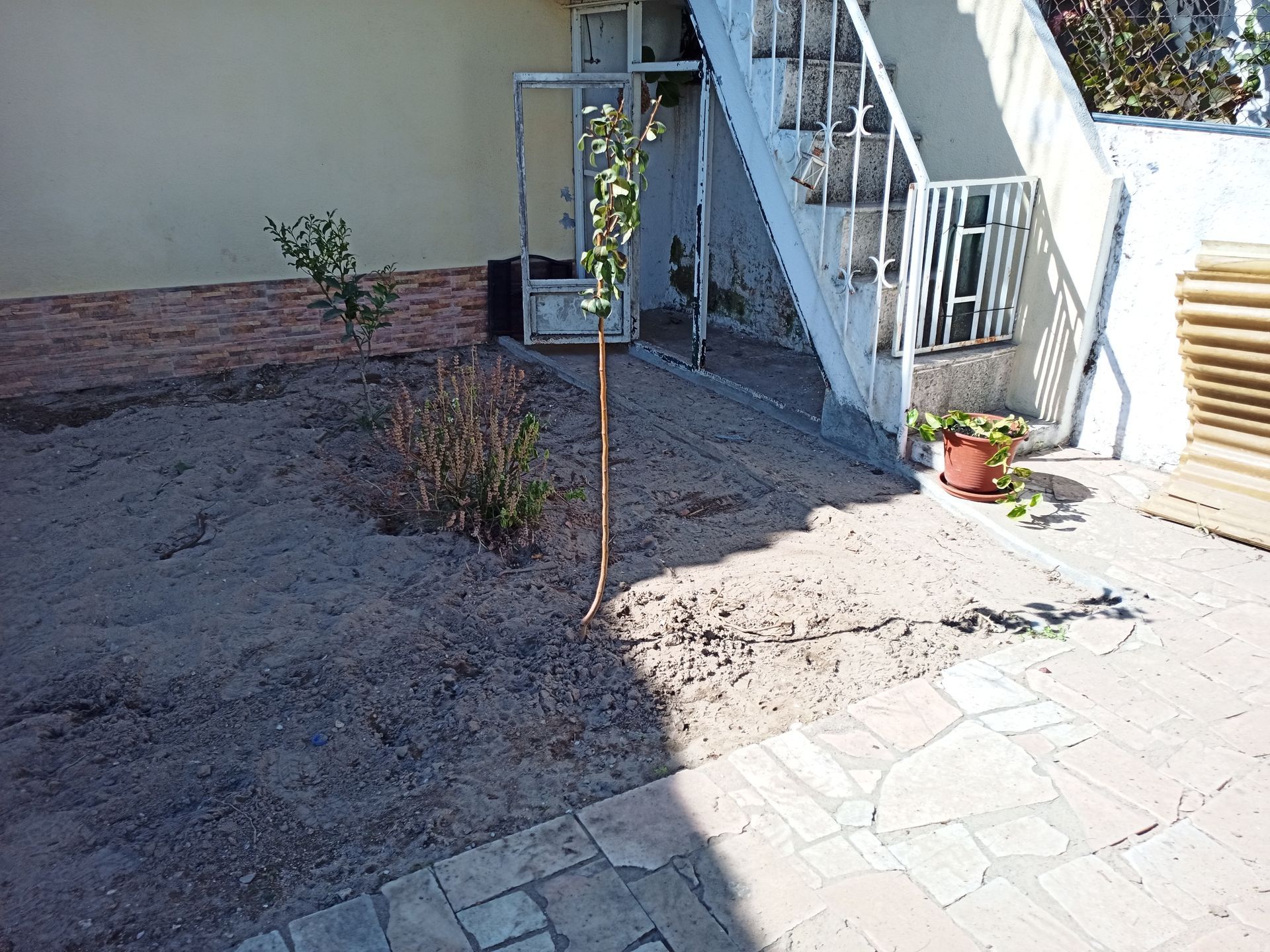 Quintal com escadas, plantas novas em solo arenoso, prédio ao fundo. Dia ensolarado.