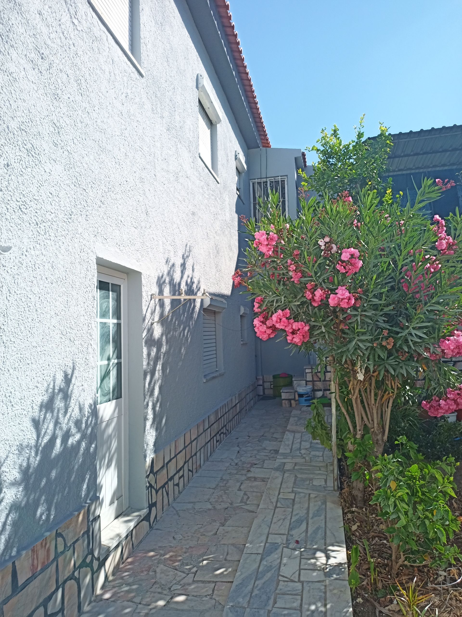 Vista lateral de um edifício cinza claro com um caminho de tijolos e pedras e um arbusto com flores rosas.