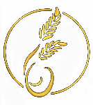 icona logo