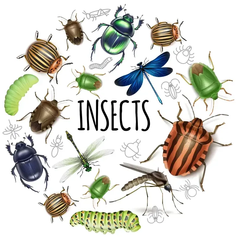 Termite control lead generation