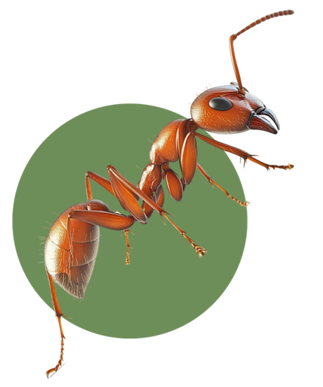 Pest control technician providing extermination services