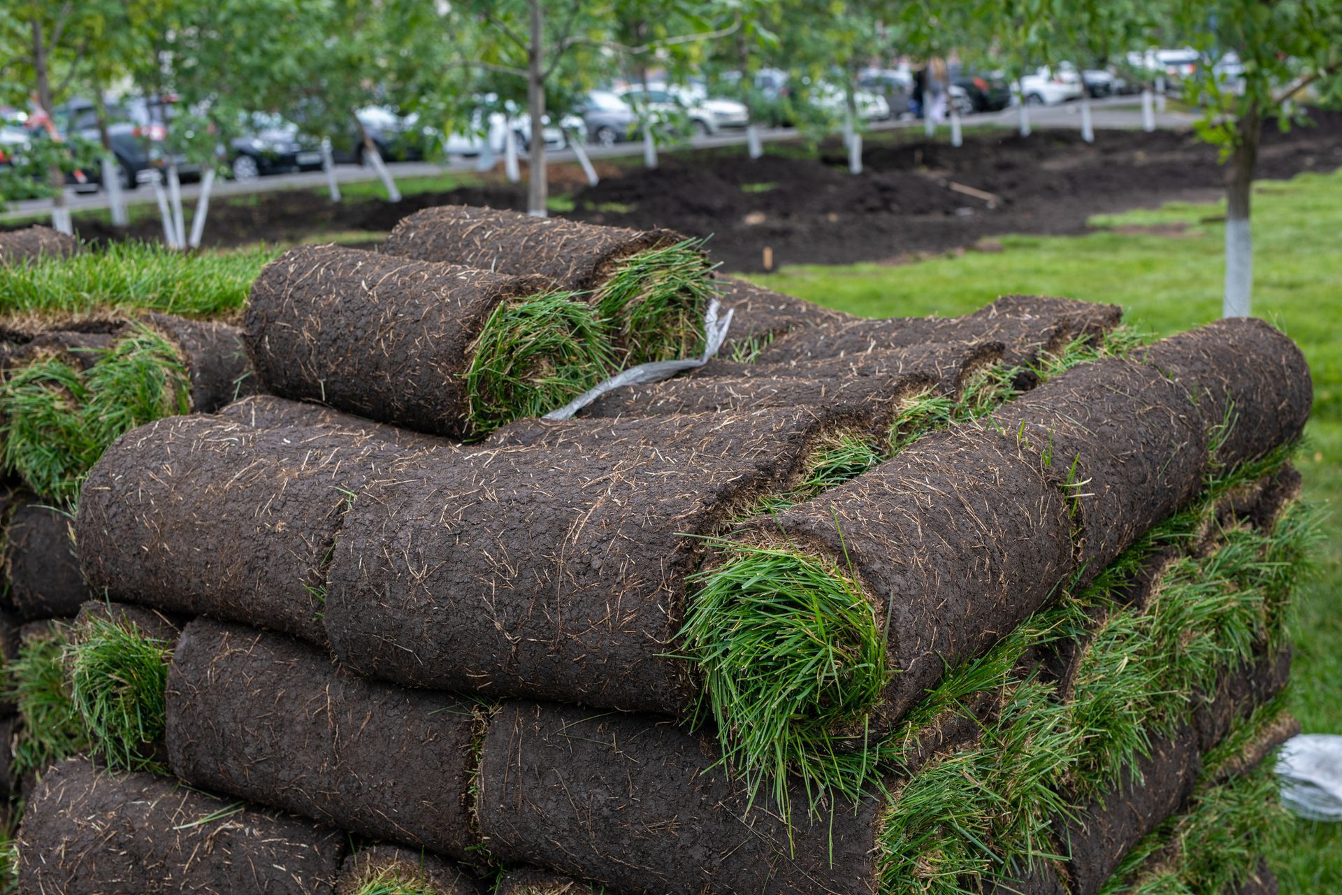 A pile of rolls of turf sitting on top of each other in a park.