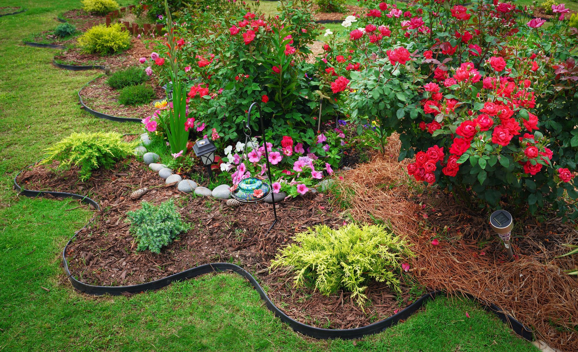 A garden filled with lots of flowers and plants.