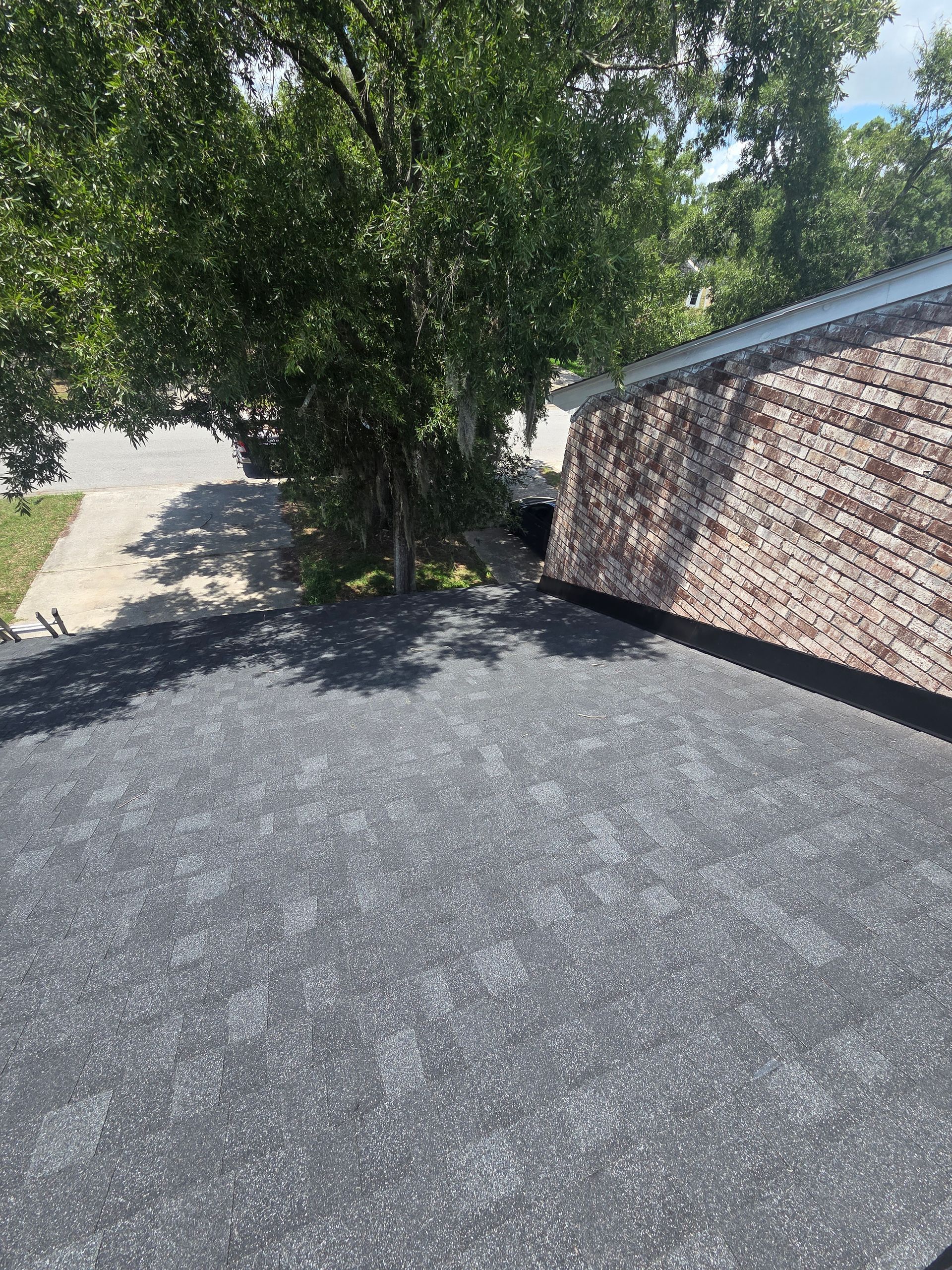 Sunlit asphalt driveway beside a brick building and leafy tree shade