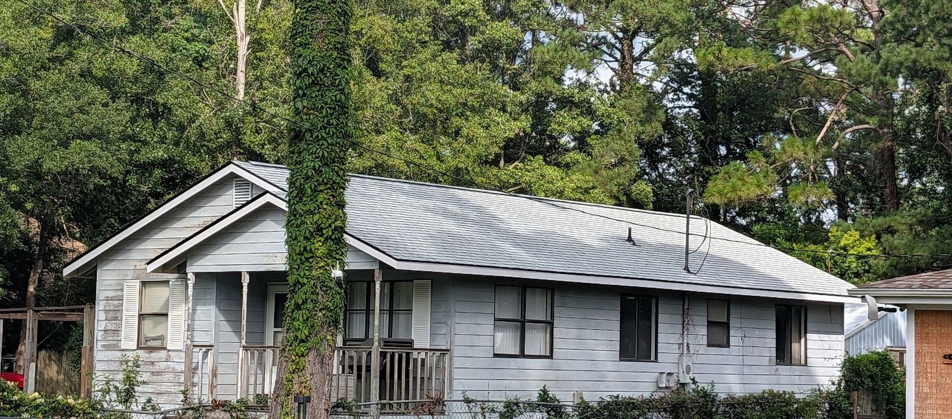 Single-story white house with a gray roof surrounded by trees and greenery