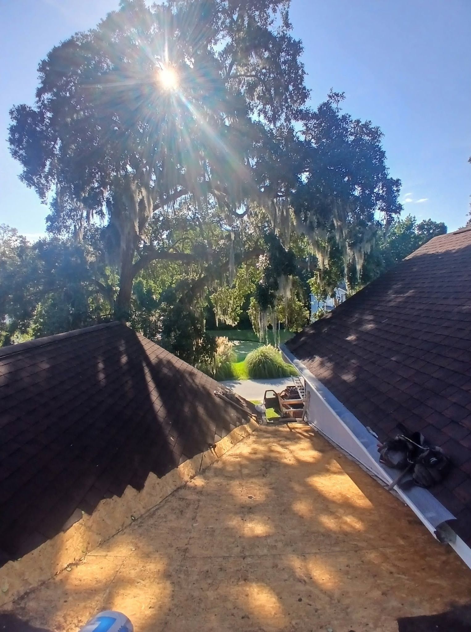 Sunlit rooftop with two dark shingle roofs, a large tree, and a wooden deck or patio below