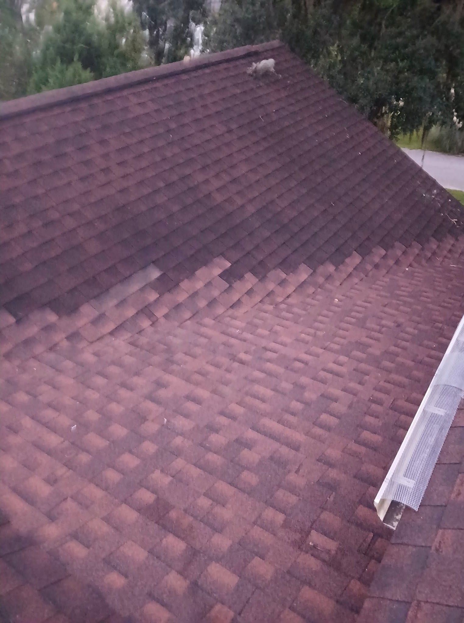 Reddish-brown shingled roof with a white gutter and trees in the background