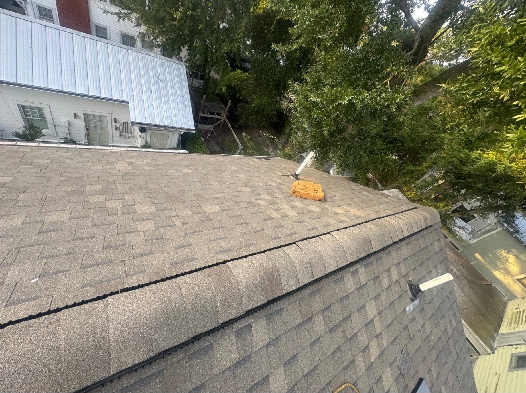 Roof shingles with vents and trees beside a house