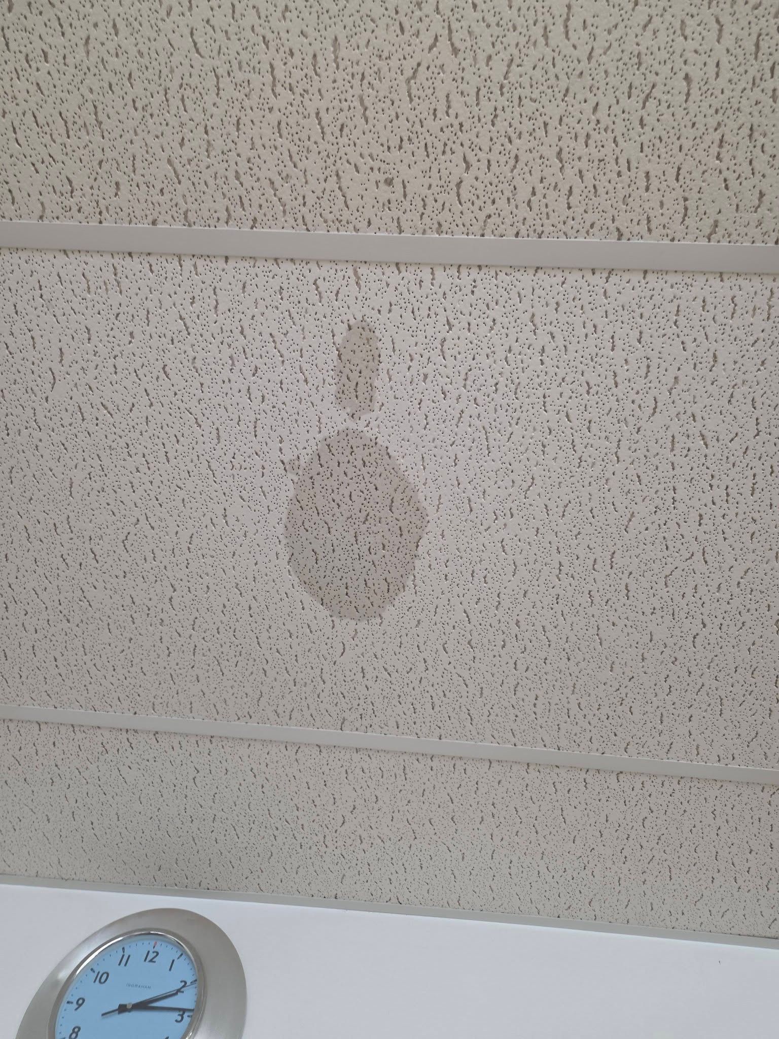 Ceiling tile with a faint brown water stain above a wall clock.