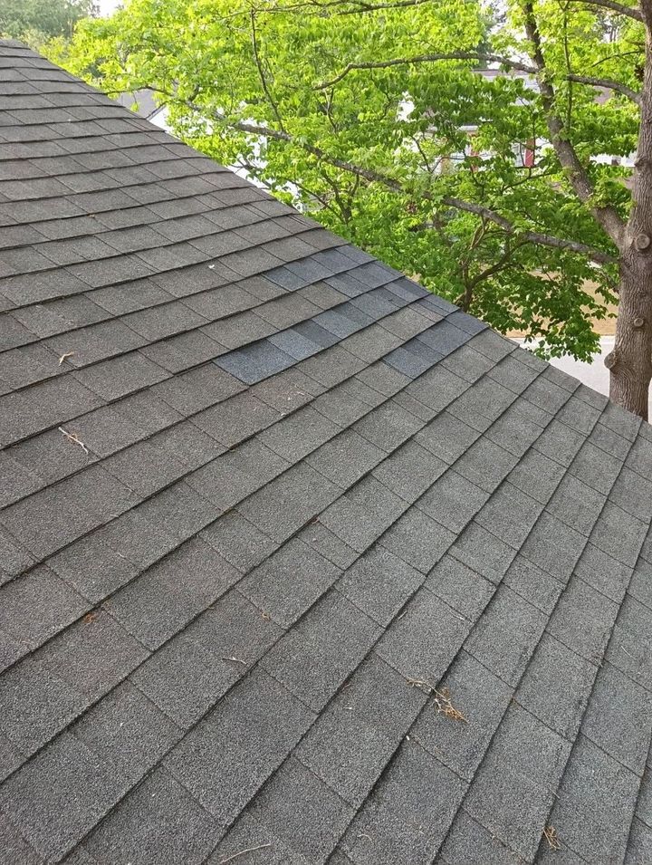 Gray shingled roof beside green tree branches and a tree trunk