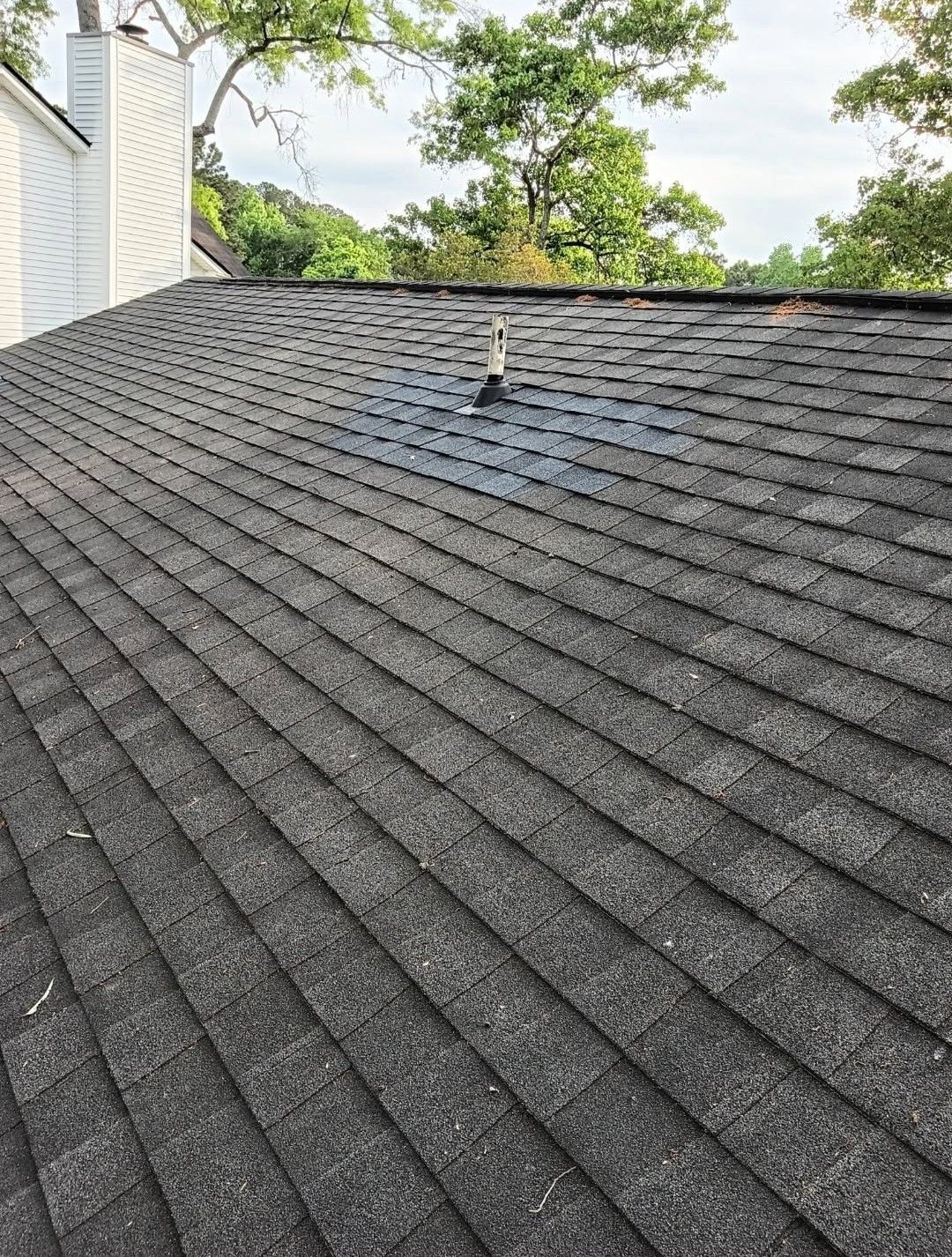 Gray shingle roof sloping up to a leafy tree-lined sky beside a white house wall