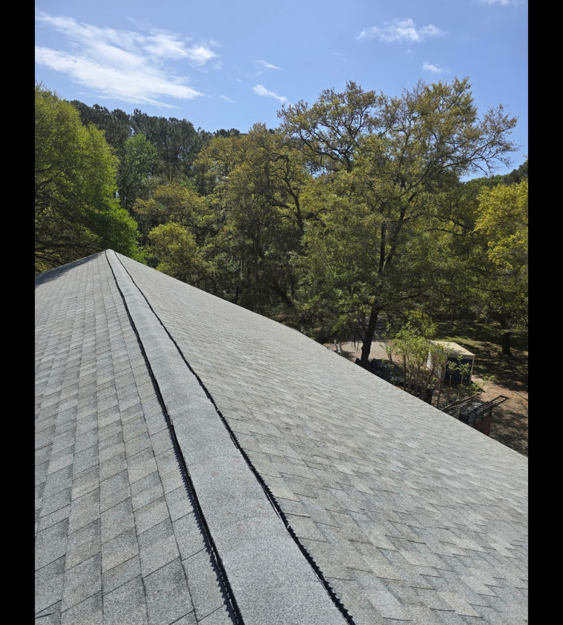 Gray shingle roof with trees and blue sky in a sunny wooded area