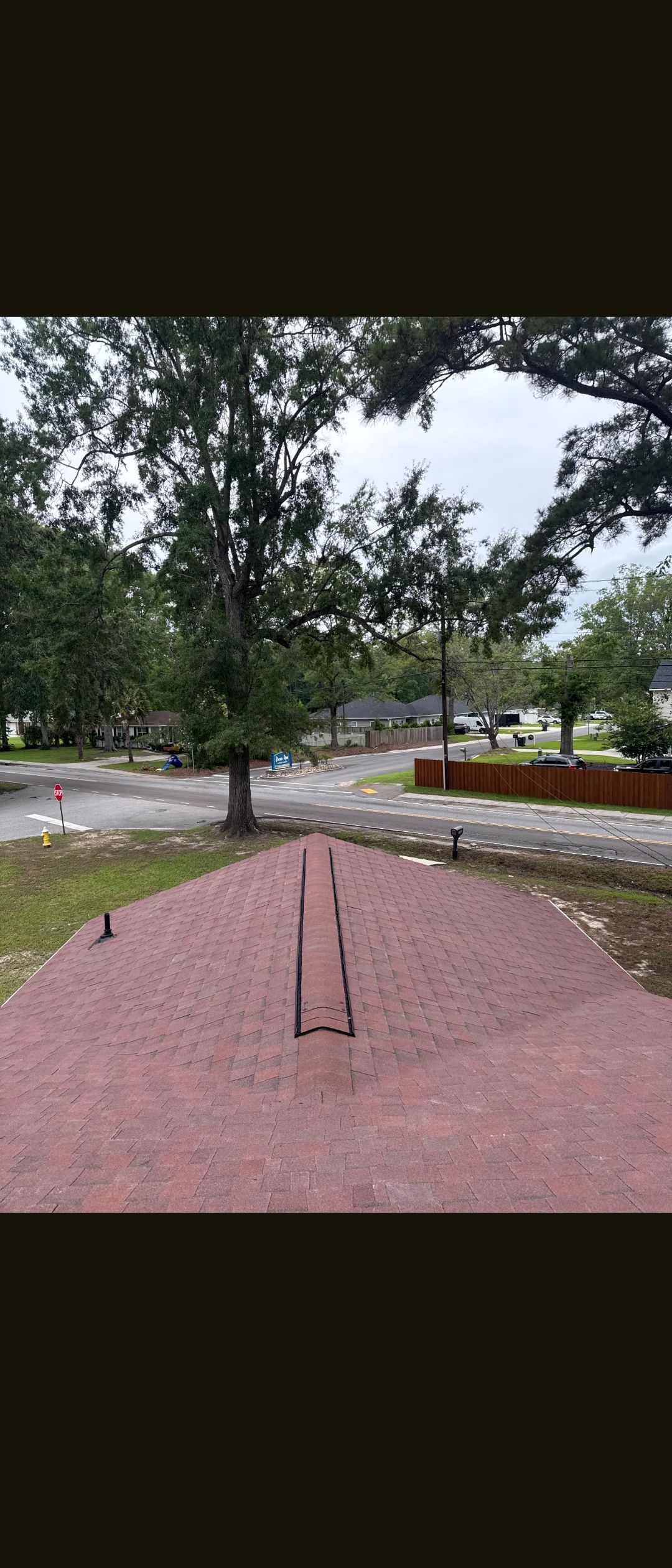 Pink gravel path in a park with trees, benches, and a cloudy sky after rain