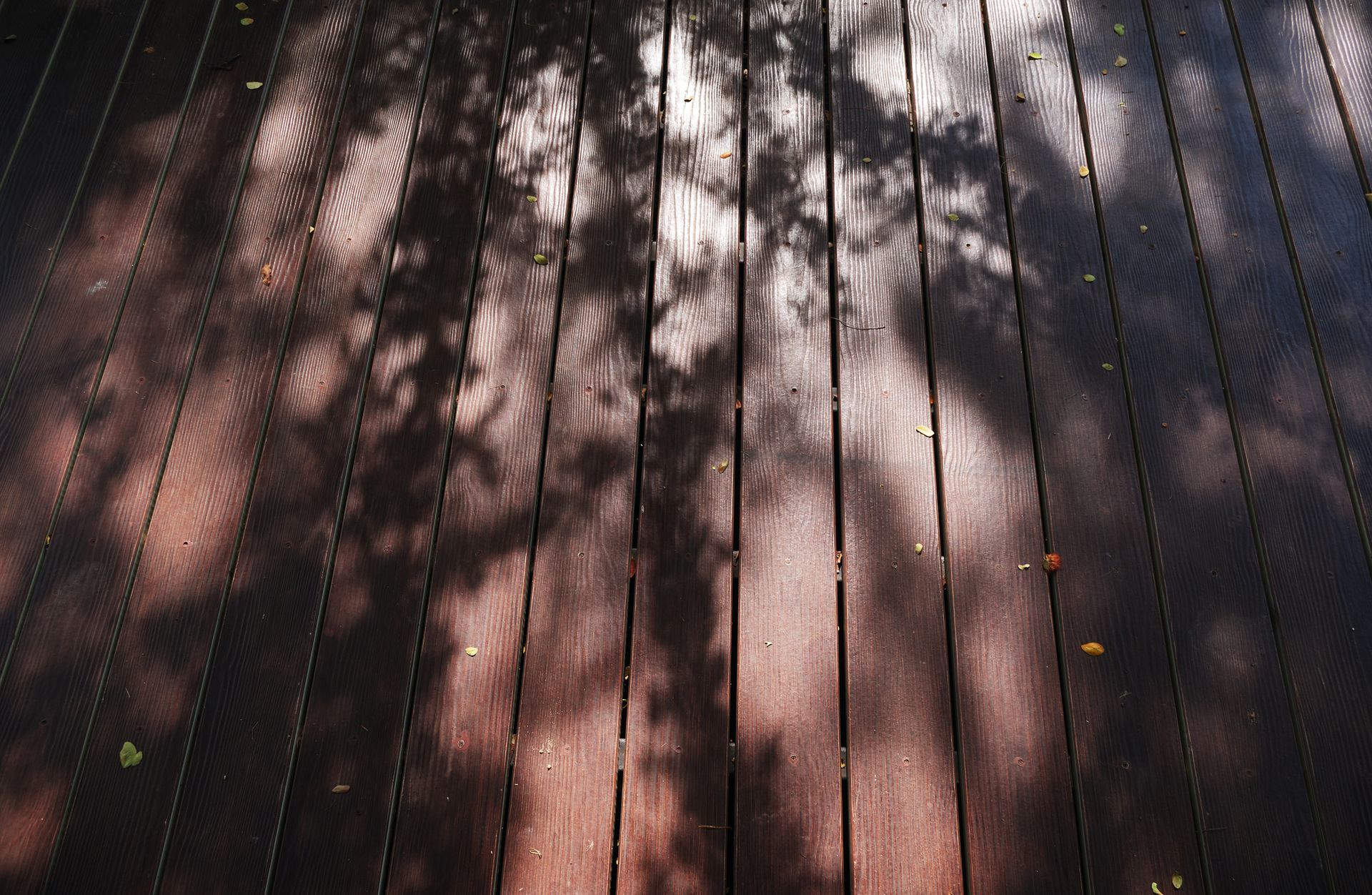 Spotted Gum Decking – Charmhaven, NSW - Carrolls Timber and Building Supplies Modwood Decking – Charmhaven, NSW - Carrolls Timber and Building Supplies