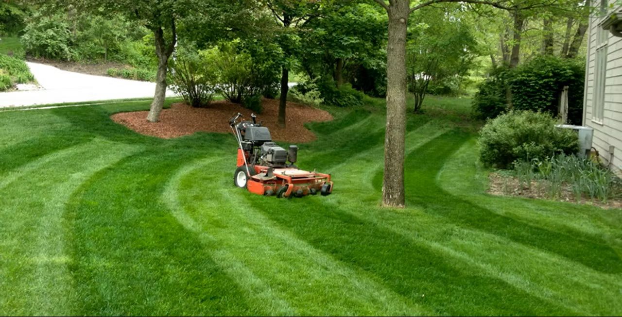 Person mowing a lush green lawn with a riding mower near trees and a house