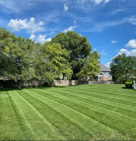 Sunny backyard with neatly striped green lawn, tall trees, and a house under a blue sky with clouds