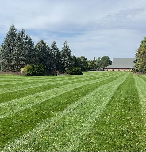 Striped green lawn beside evergreens and a barn under a partly cloudy sky